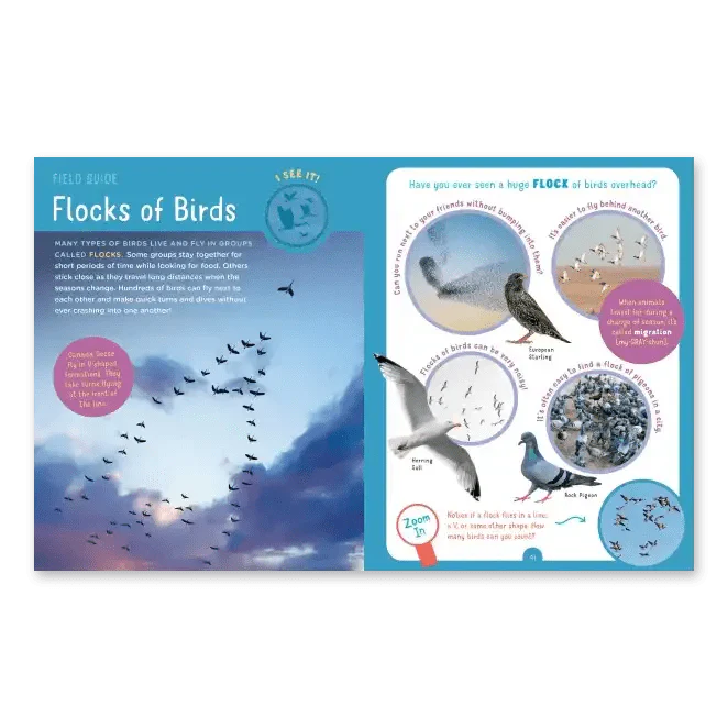 Backpack Explorer: Bird Watch - Image 5