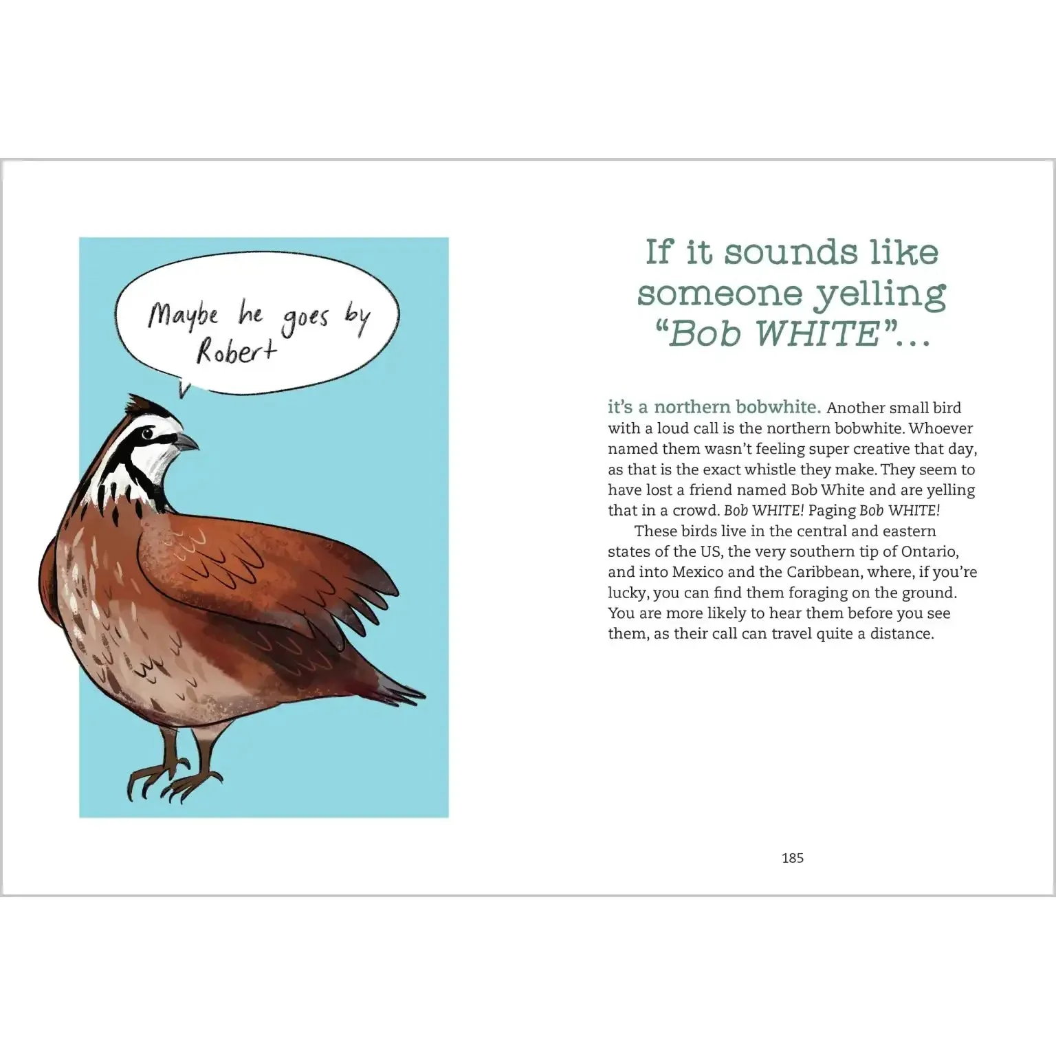 Bird Talk - Image 3