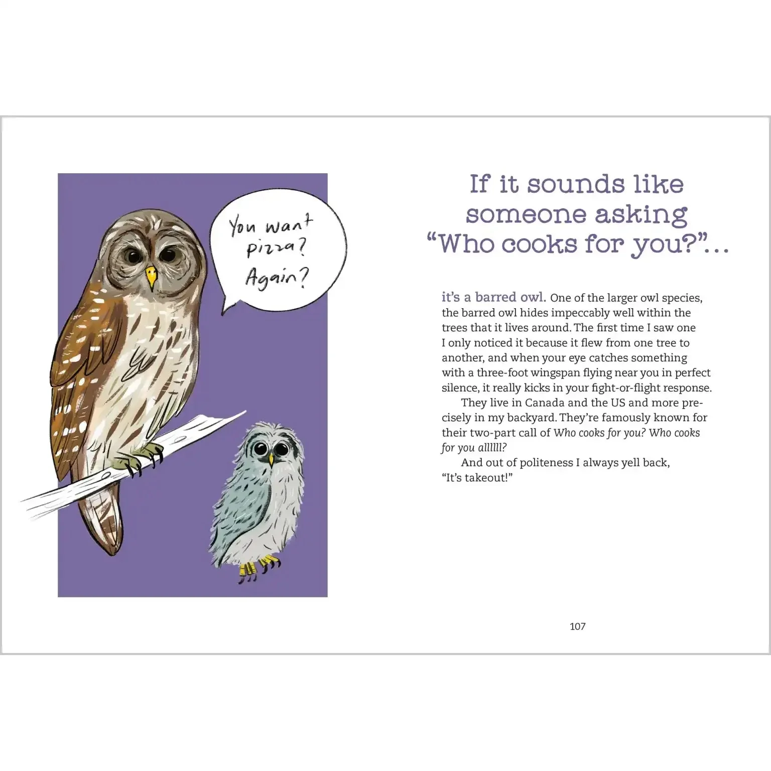 Bird Talk - Image 4