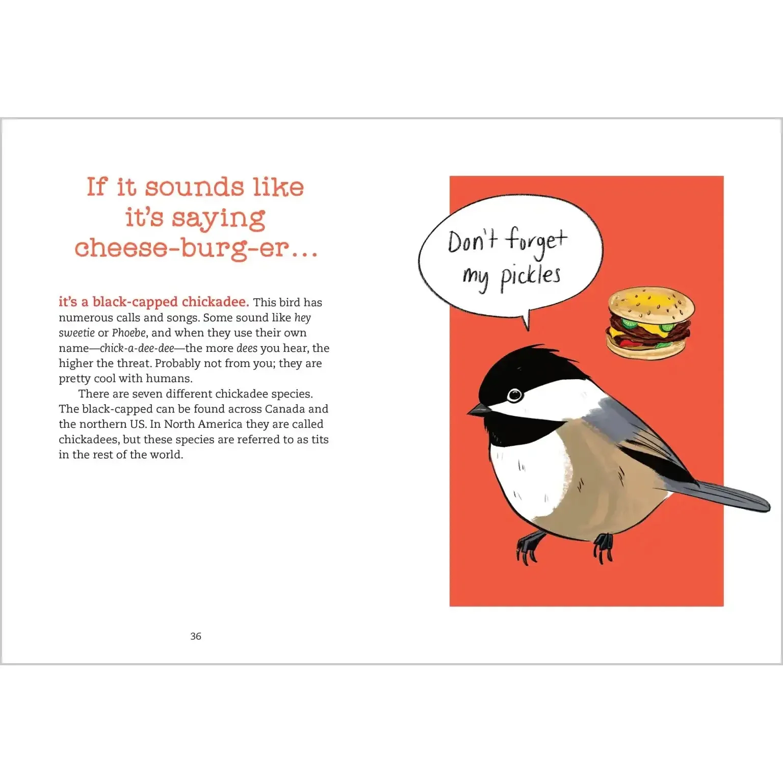 Bird Talk - Image 5