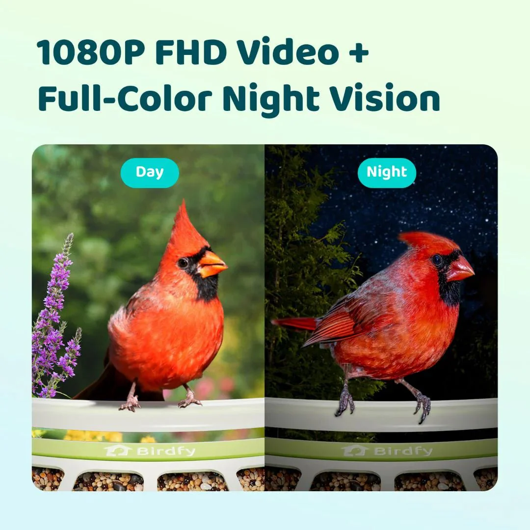 Birdfy Metal Smart Bird Feeder With Camera - Image 4