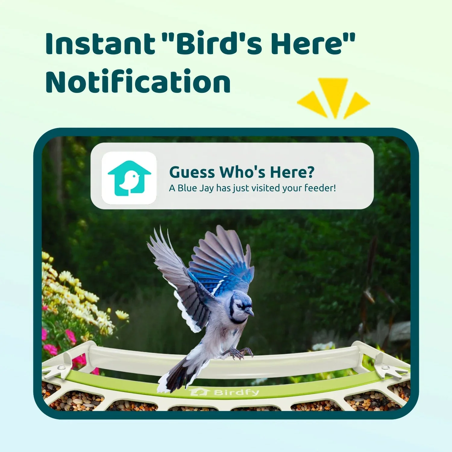 Birdfy Metal Smart Bird Feeder With Camera - Image 5