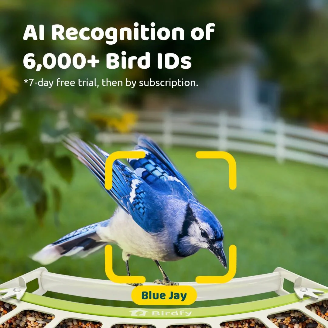 Birdfy Metal Smart Bird Feeder With Camera - Image 6