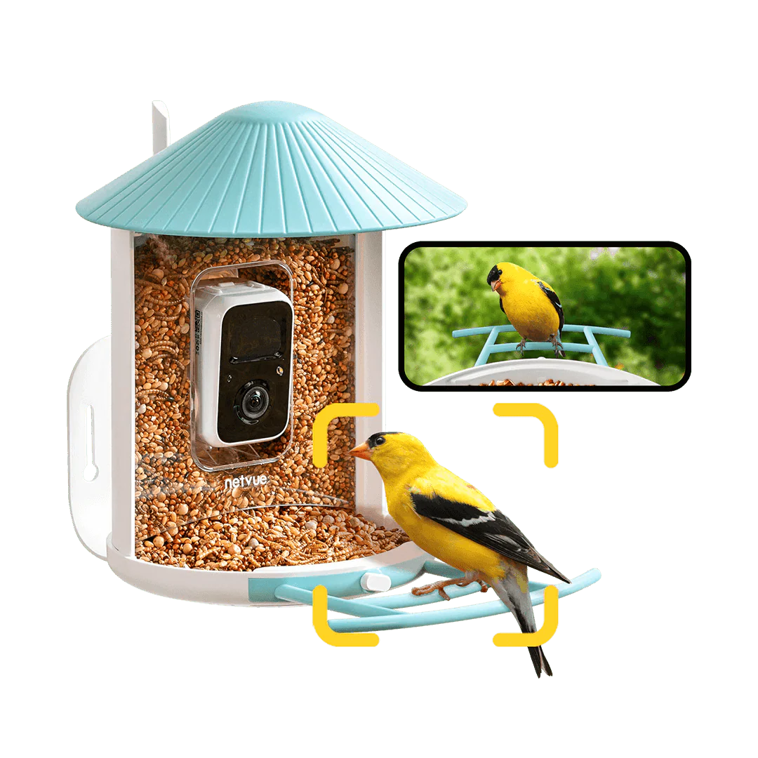 Birdfy Smart Bird Feeder With Camera - Image 10