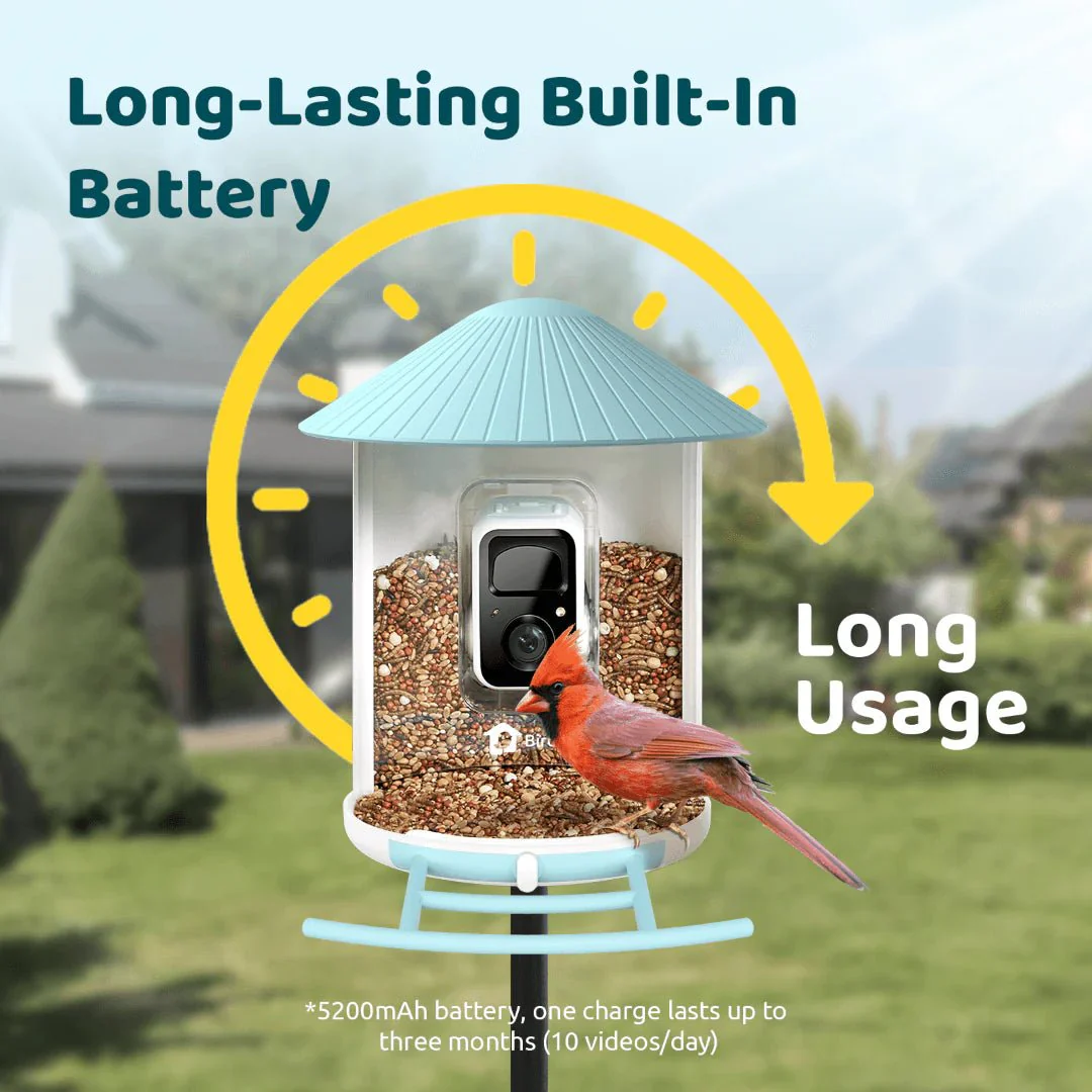 Birdfy Smart Bird Feeder With Camera - Image 5