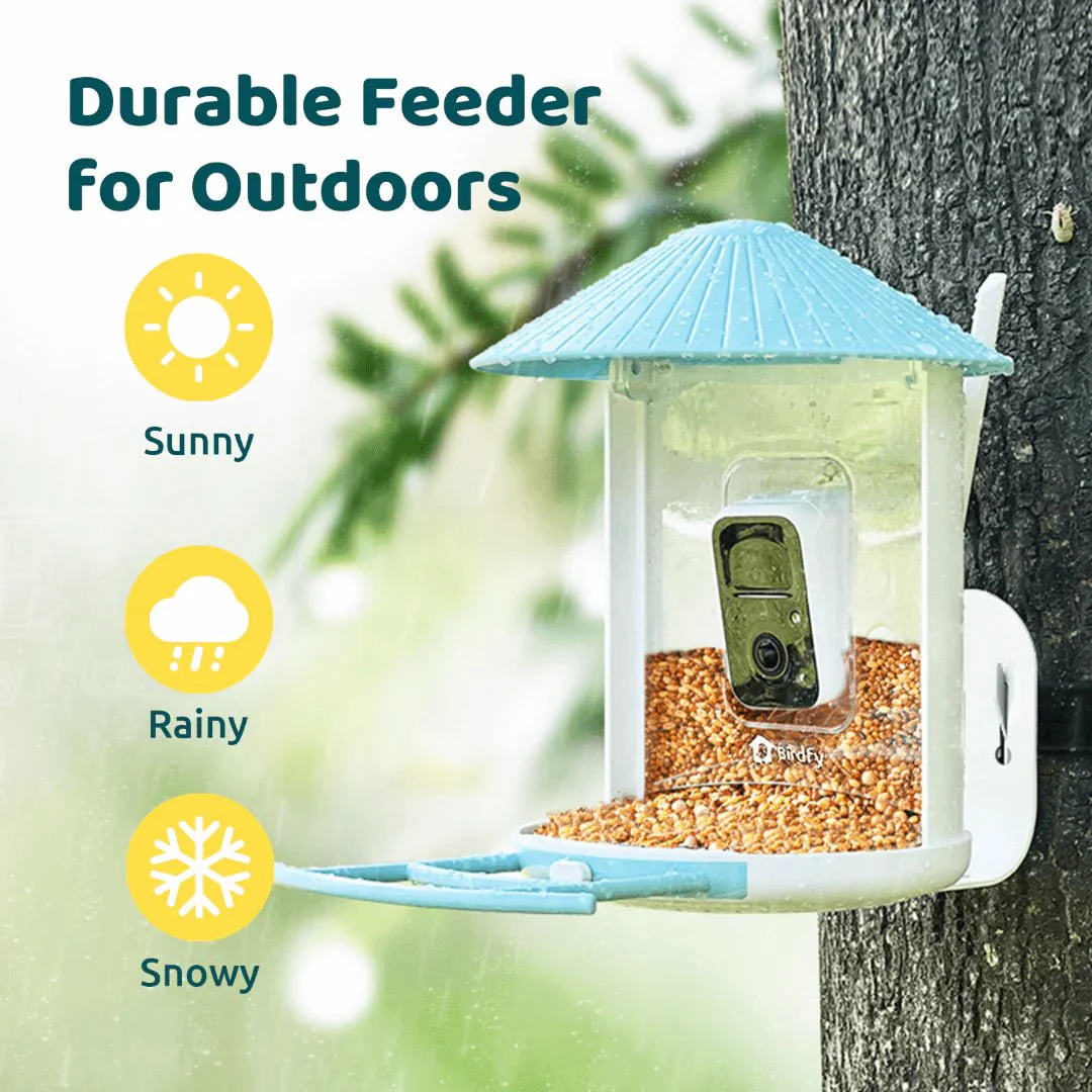 Birdfy Smart Bird Feeder With Camera - Image 6
