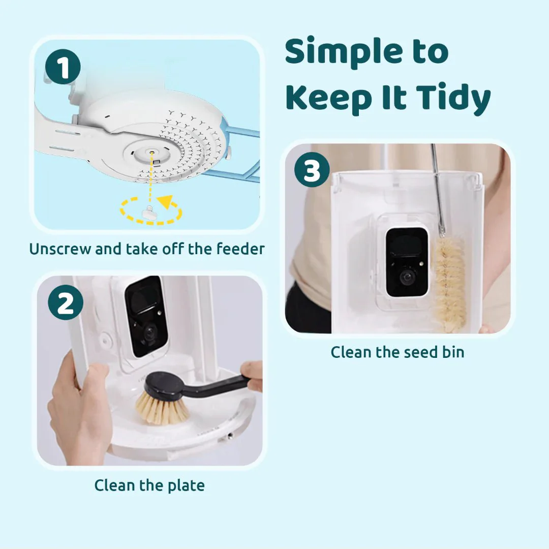 Birdfy Smart Bird Feeder With Camera - Image 8