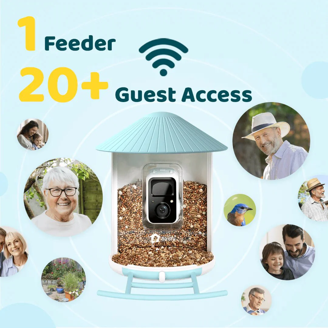 Birdfy Smart Bird Feeder With Camera - Image 9