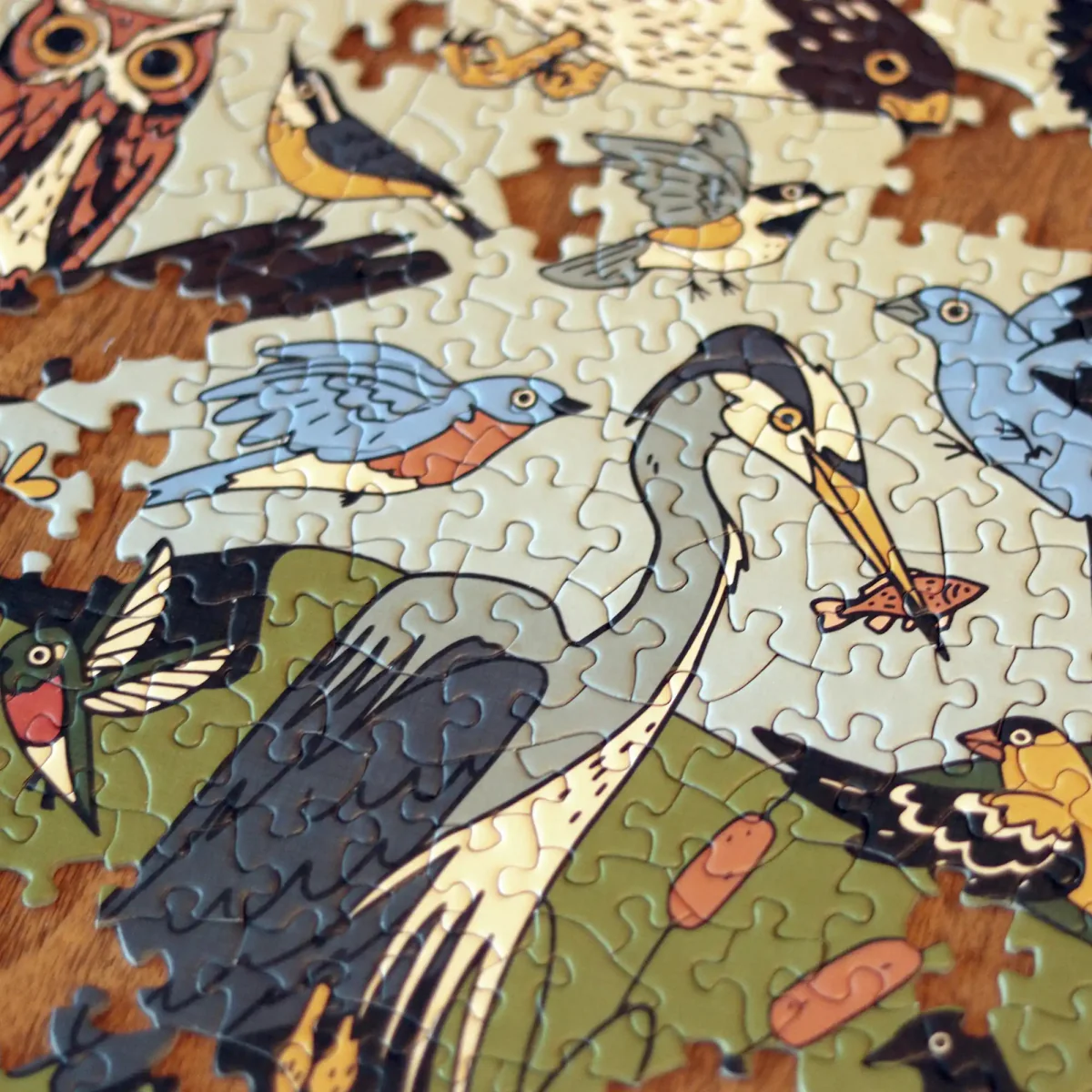 Birds of Eastern North America Puzzle - Image 4
