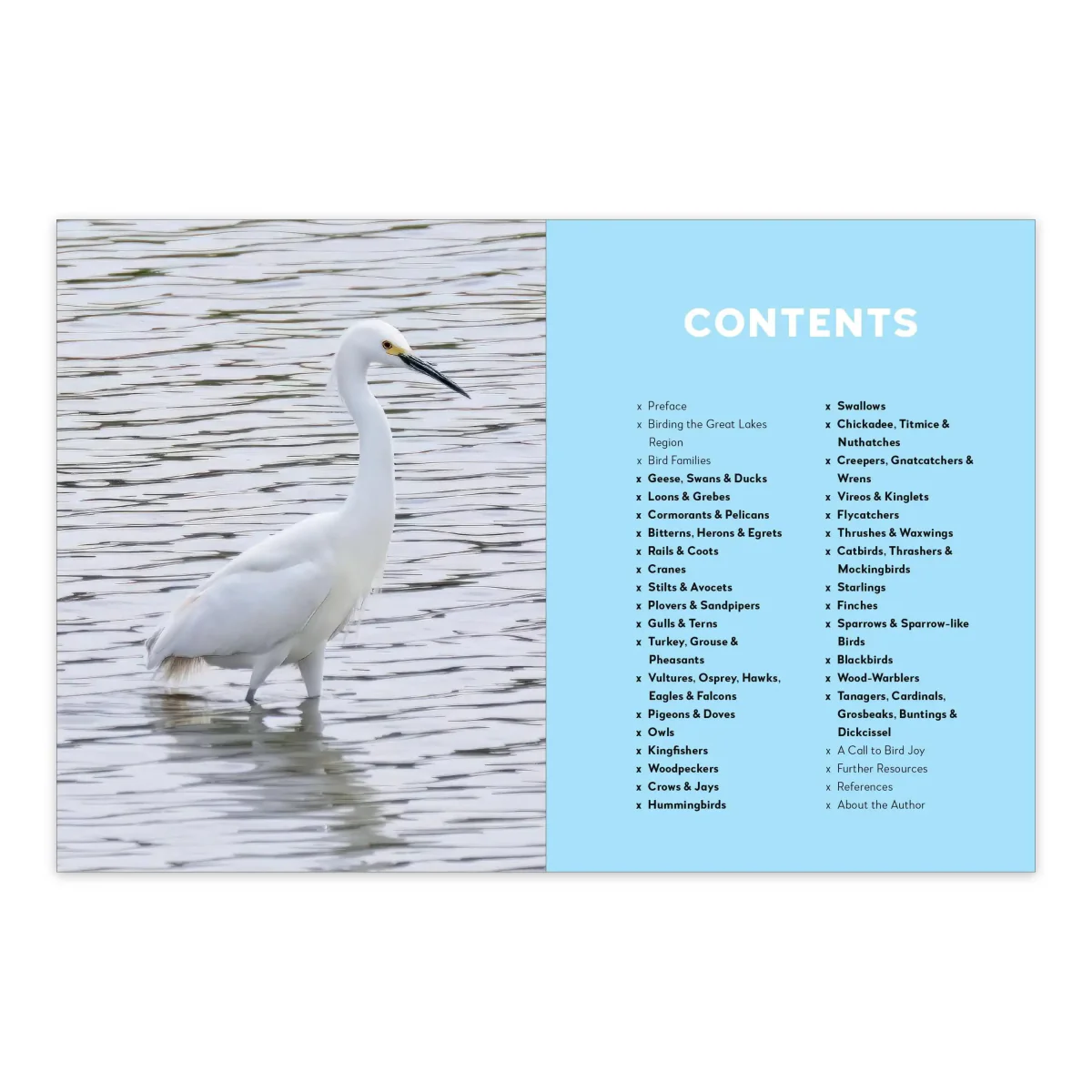 Birds of the Great Lakes - Image 2