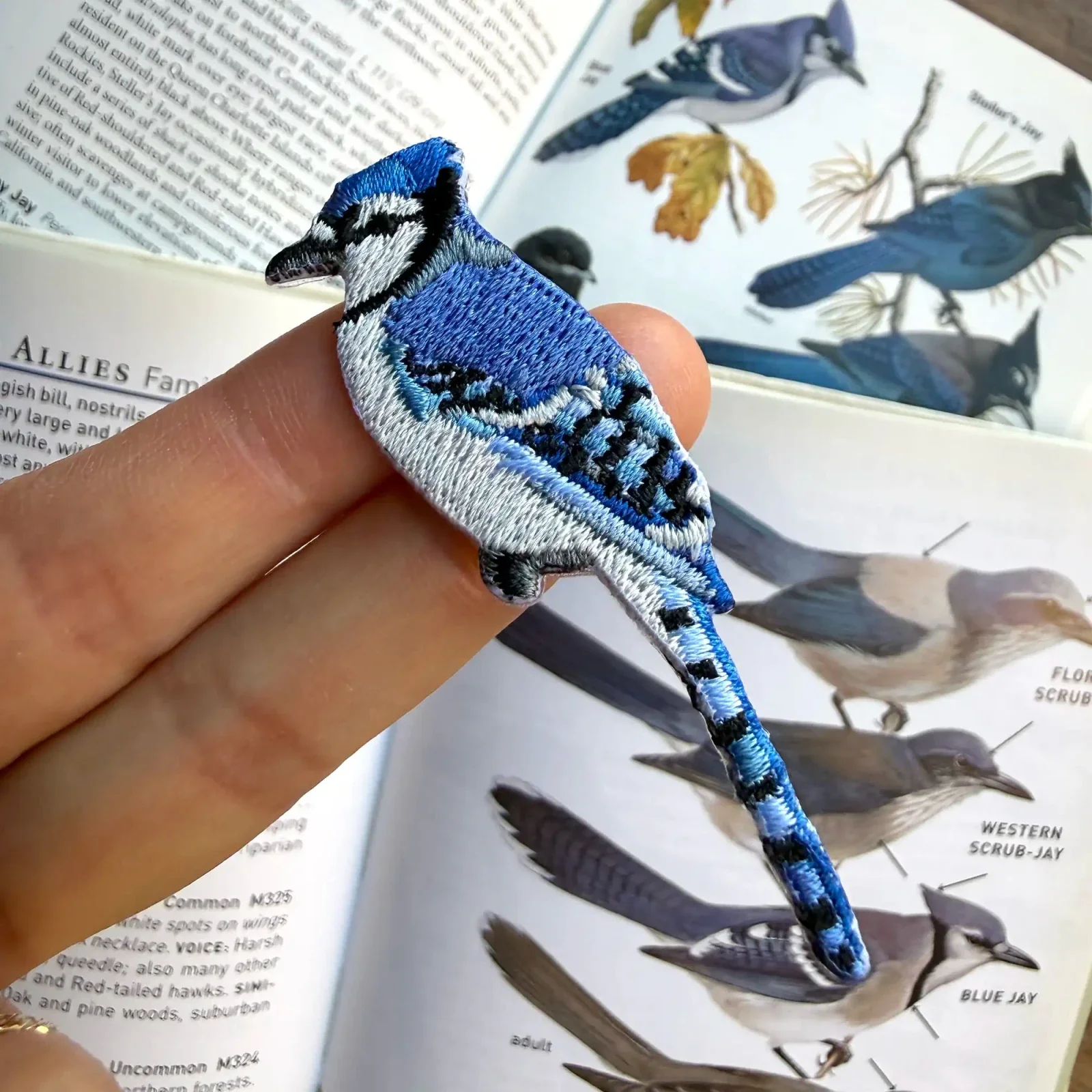 Blue Jay Patch - Image 2