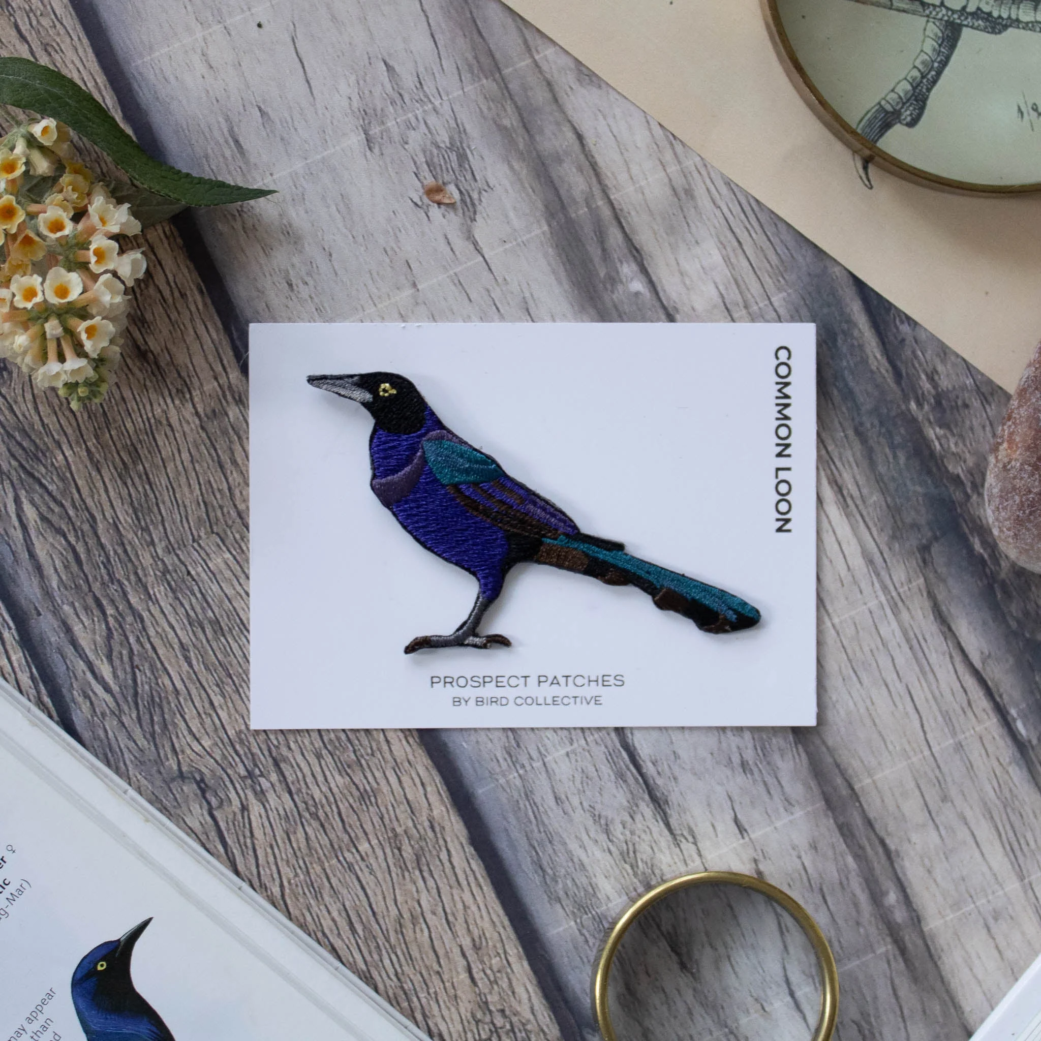 Boat-tailed Grackle Patch - Image 3