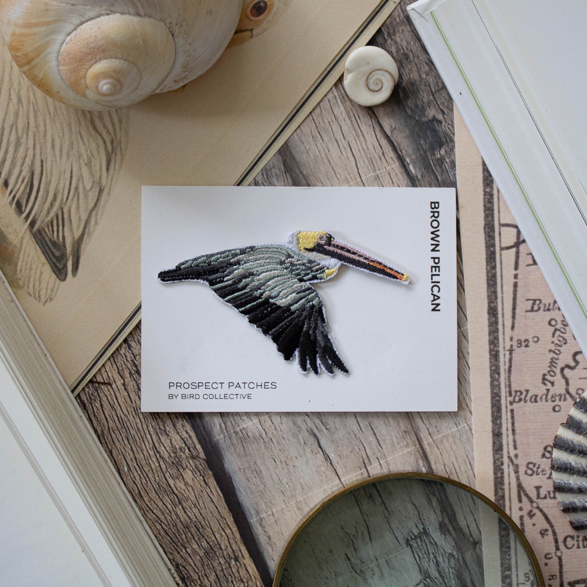 Brown Pelican Patch - Image 3