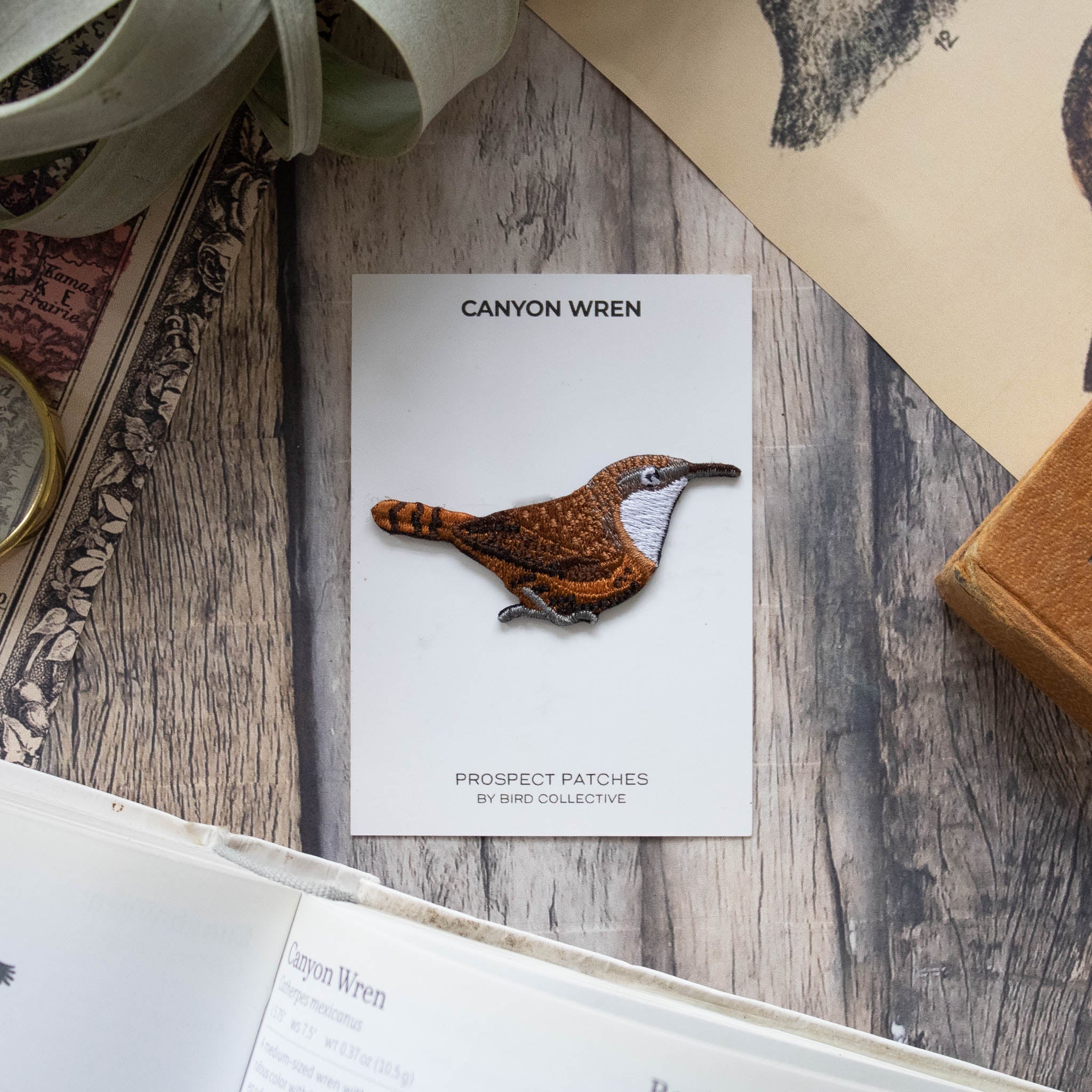 Canyon Wren Patch - Image 3