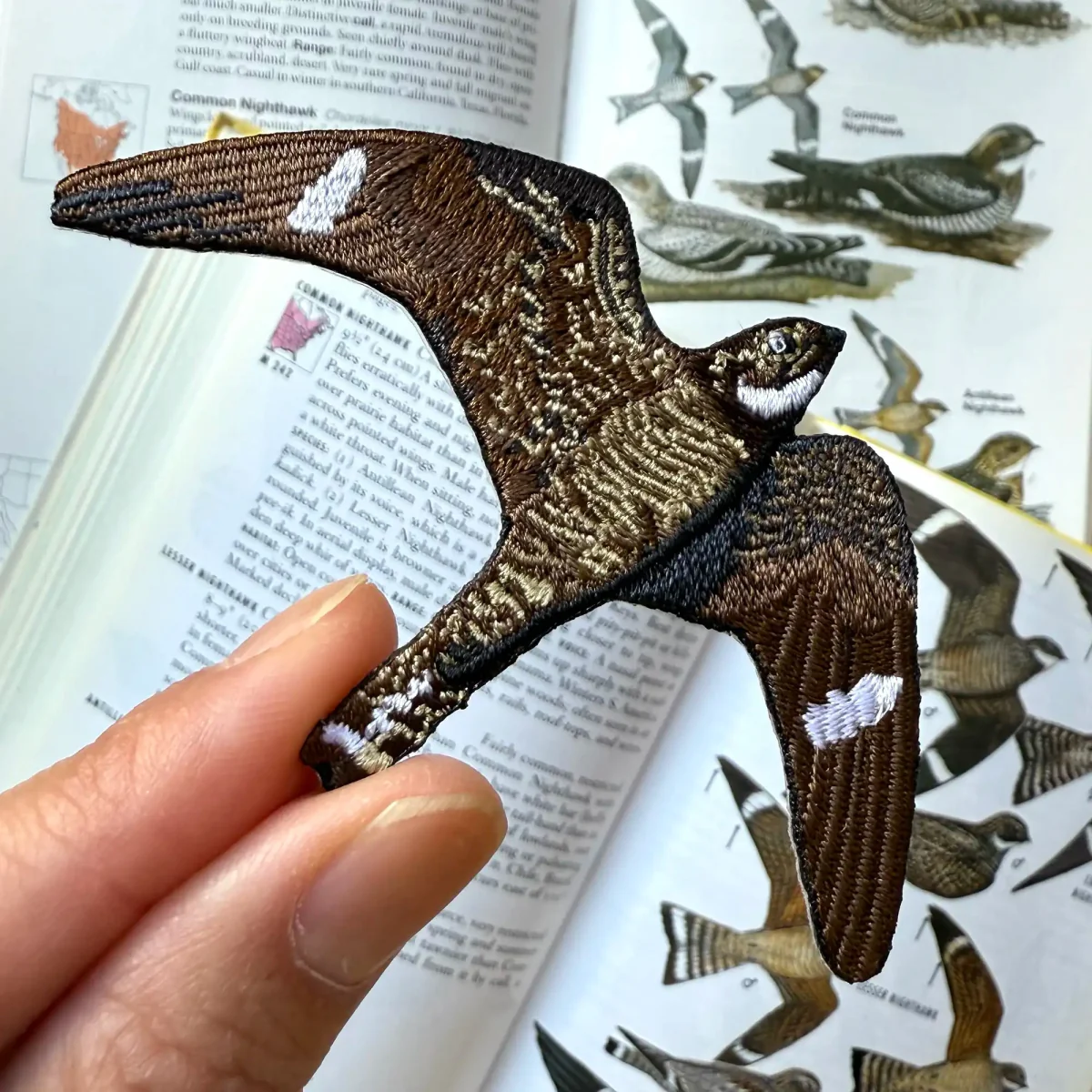 Common Nighthawk Patch - Image 2