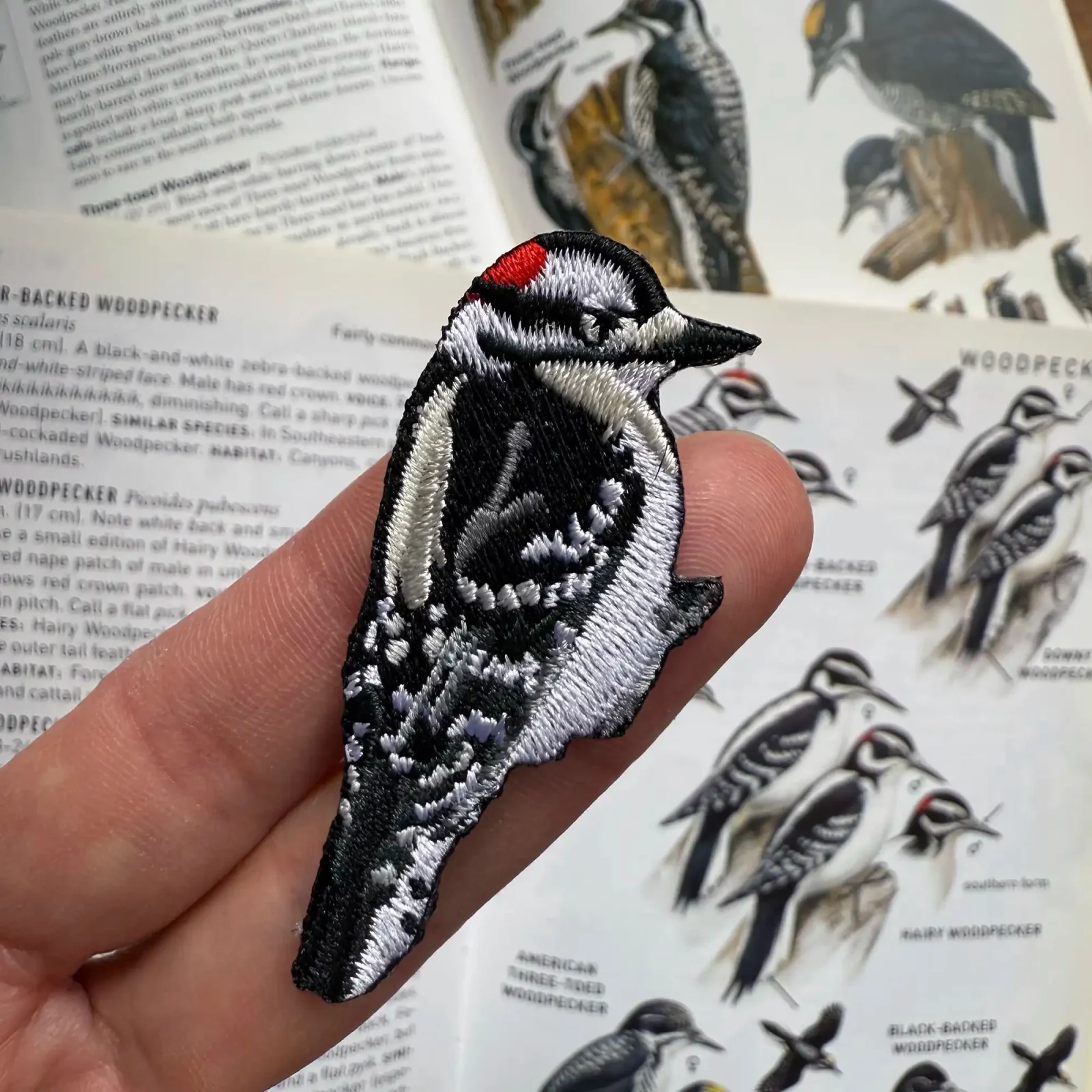 Downy Woodpecker Patch - Image 2