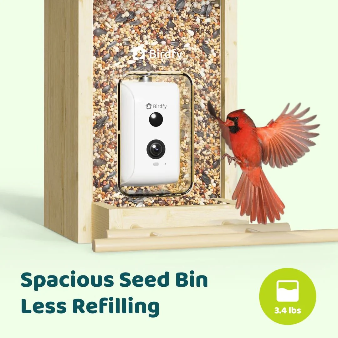 Birdfy Ebony Wooden Smart Bird Feeder With Camera - Image 4