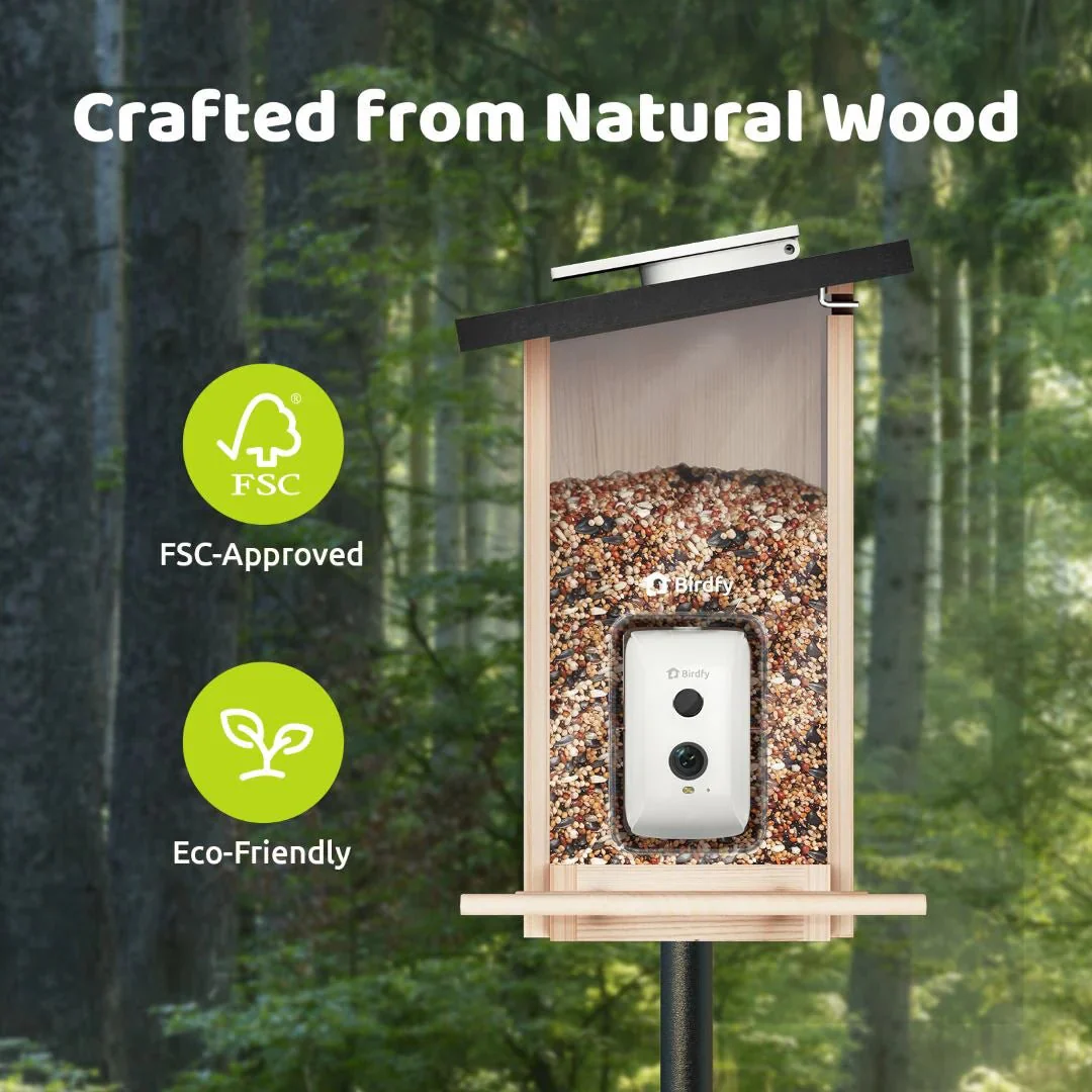 Birdfy Ebony Wooden Smart Bird Feeder With Camera - Image 6