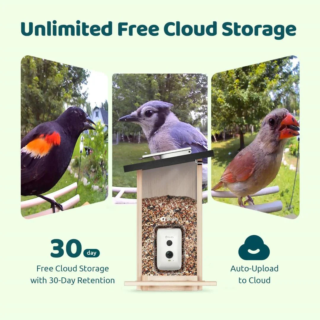 Birdfy Ebony Wooden Smart Bird Feeder With Camera - Image 7