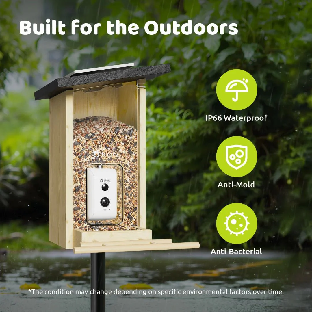 Birdfy Ebony Wooden Smart Bird Feeder With Camera - Image 8