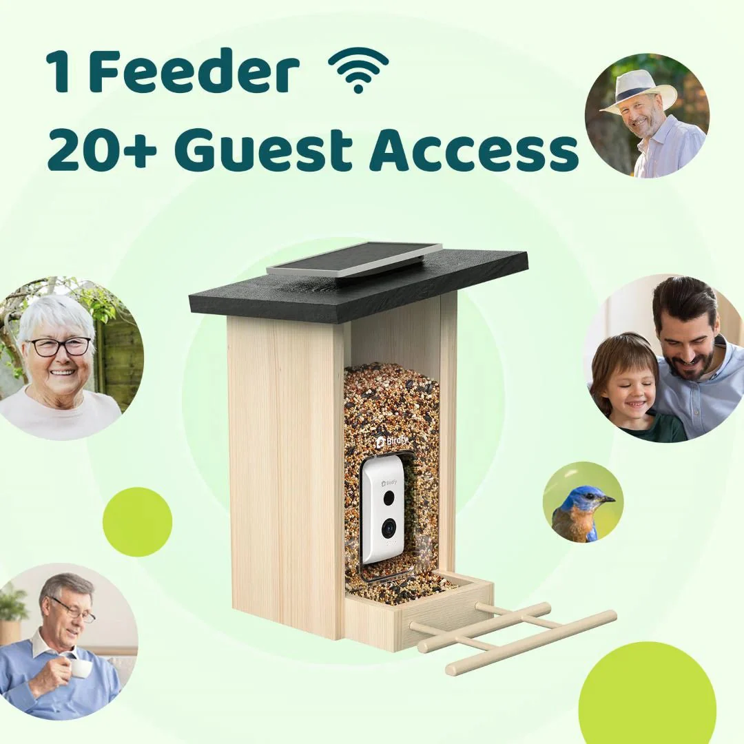 Birdfy Ebony Wooden Smart Bird Feeder With Camera - Image 9