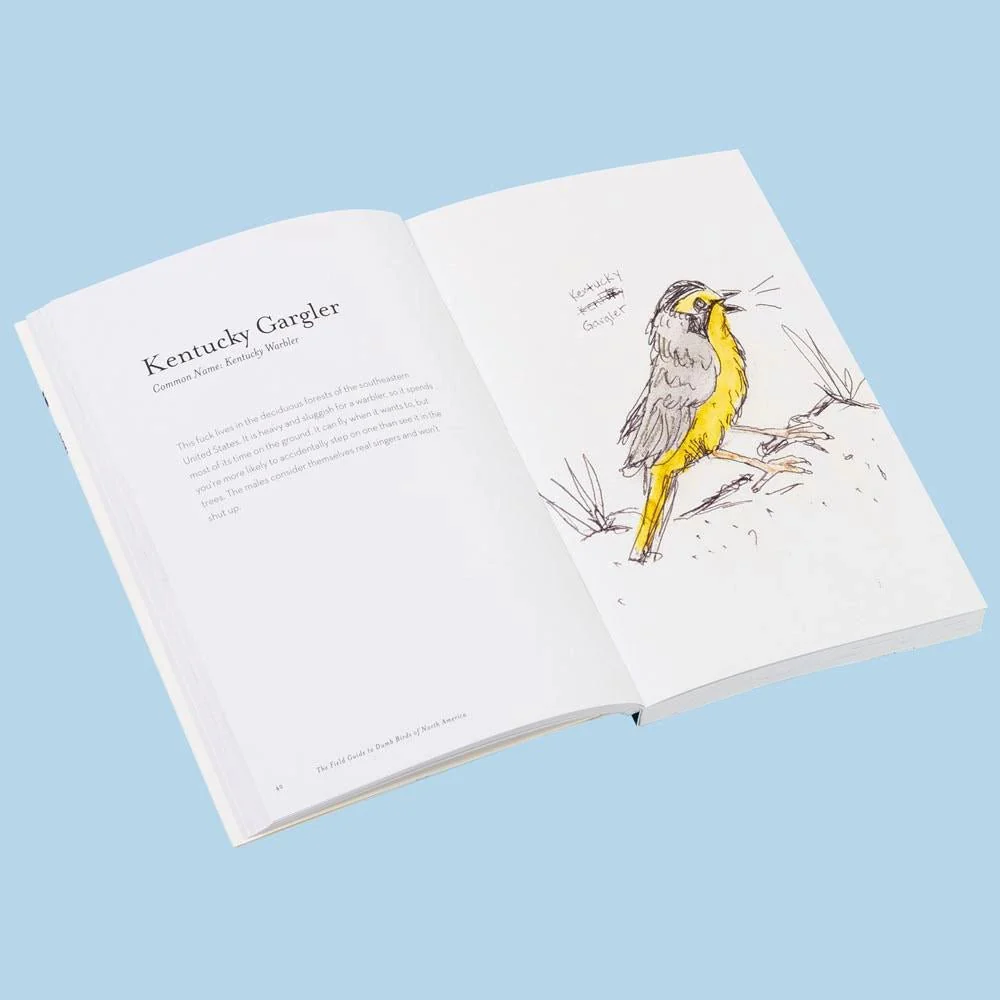 Field Guide to Dumb Birds of North America - Image 2
