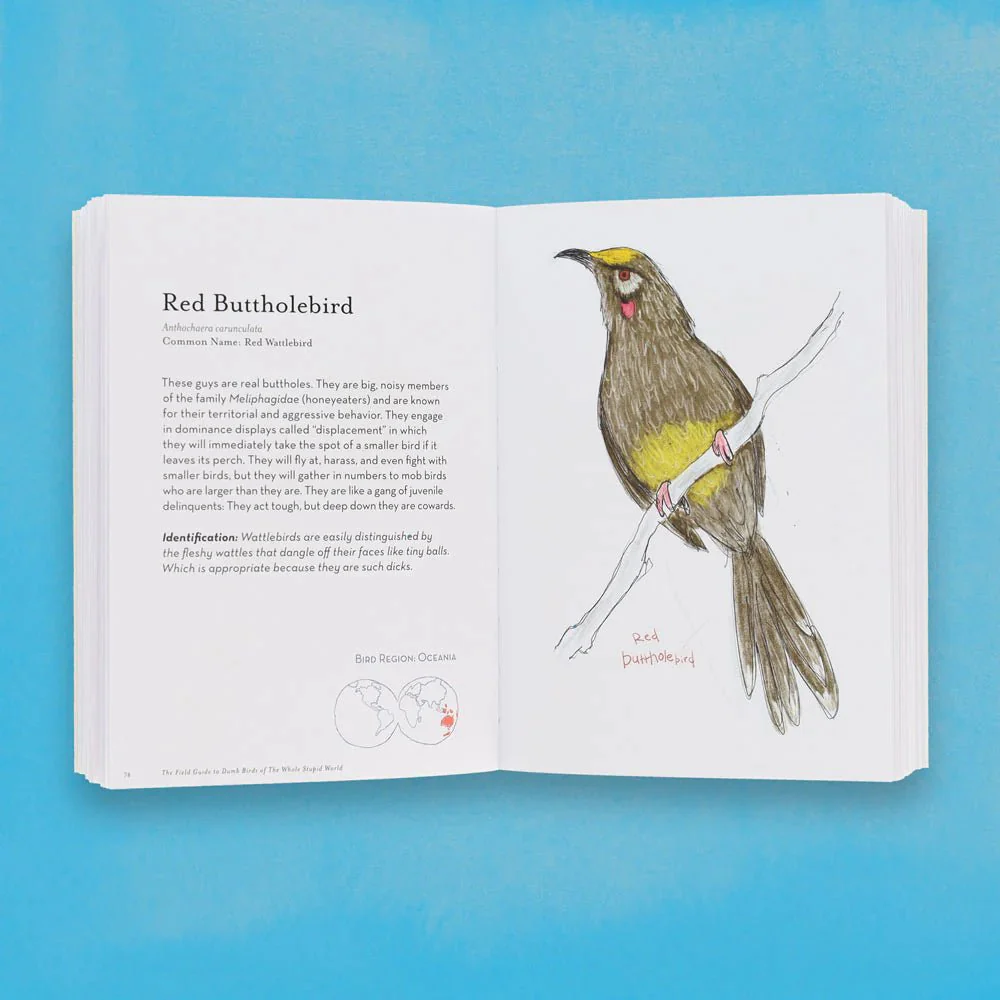 Field Guide to Dumb Birds of the Whole Stupid World - Image 2