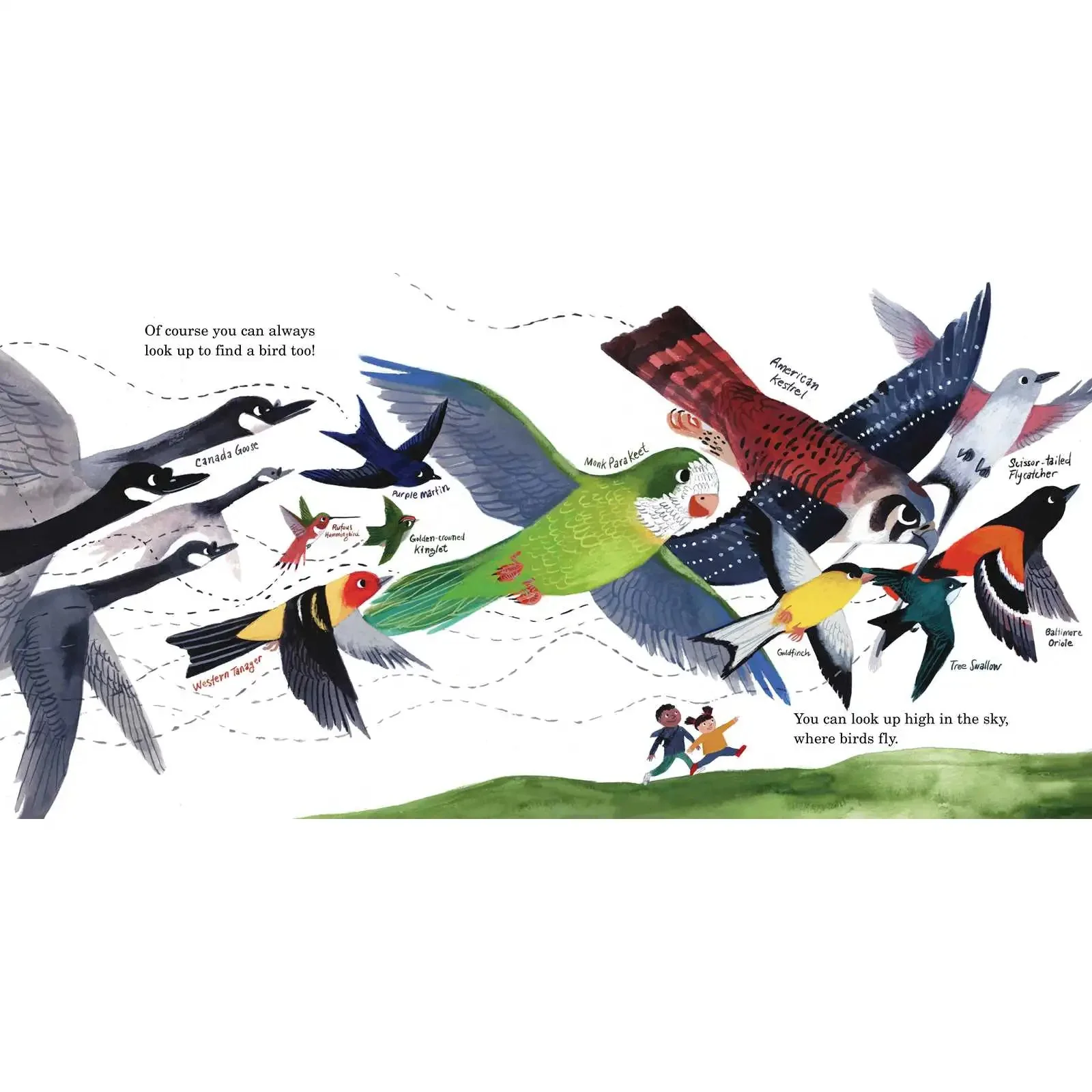 How to Find a Bird - Image 4