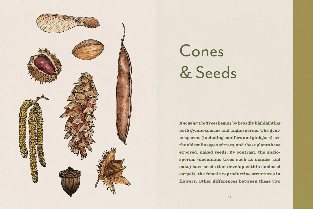 Knowing the Trees - Image 10