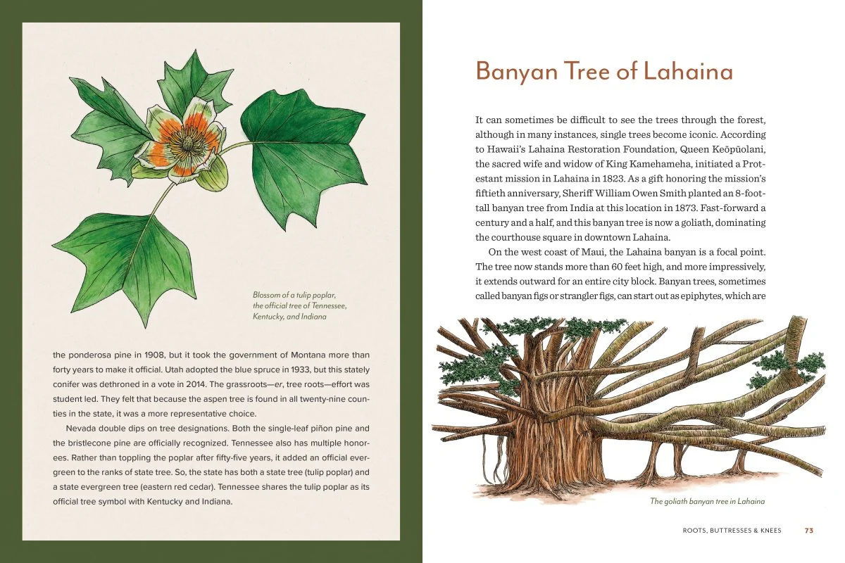 Knowing the Trees - Image 8