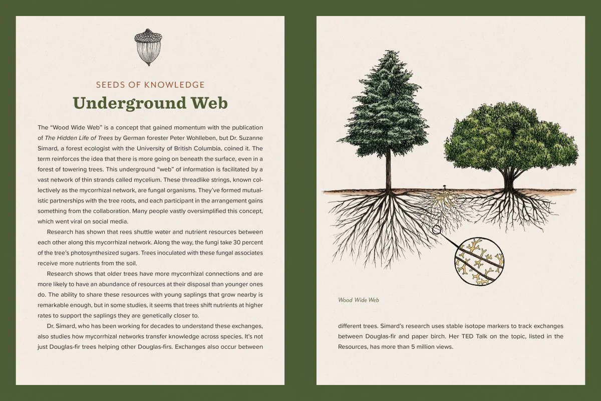 Knowing the Trees - Image 9