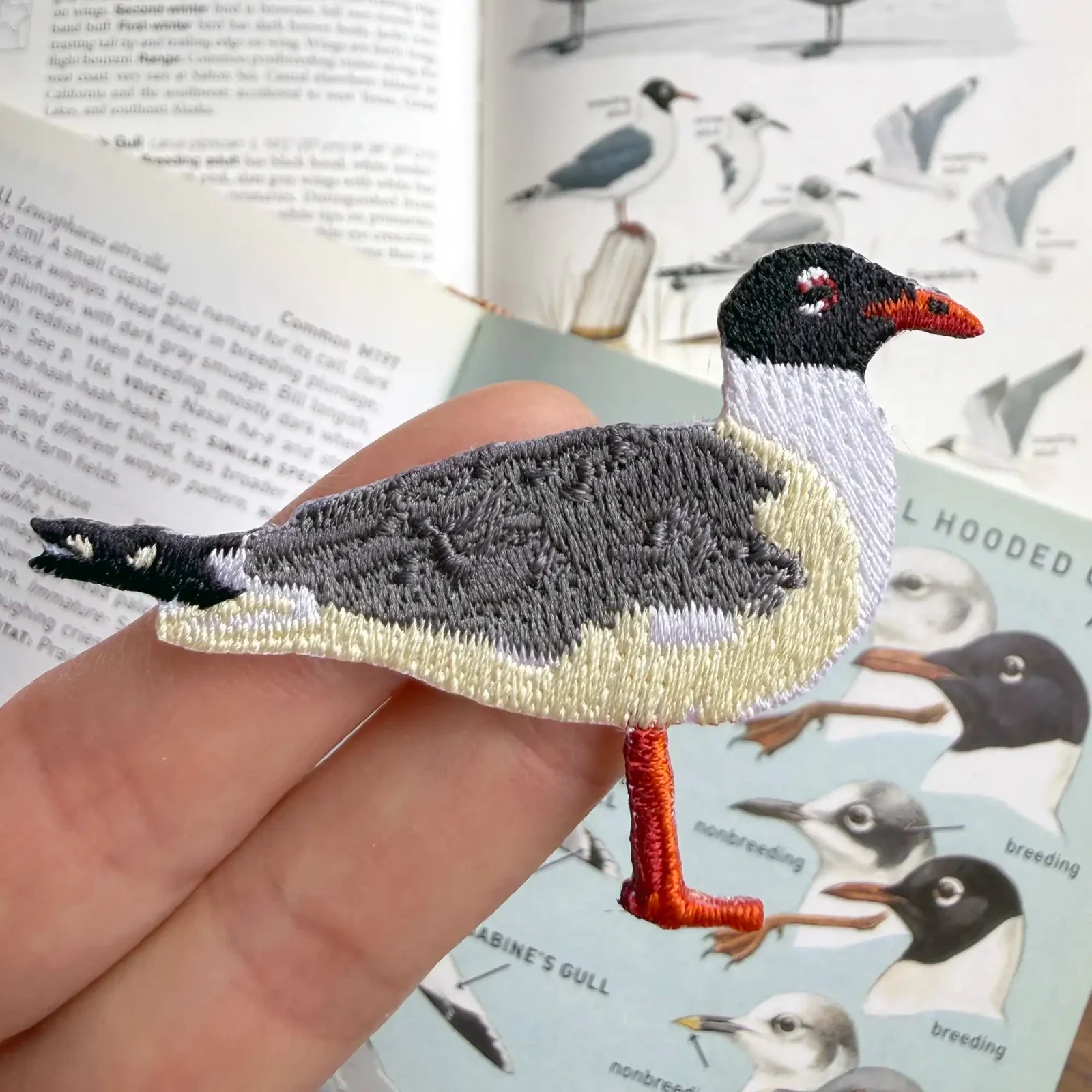 Laughing Gull Patch - Image 2