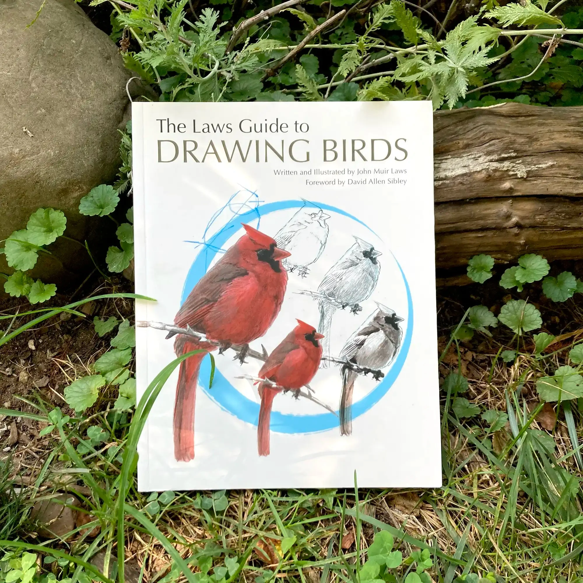 Laws Guide To Drawing Birds - Image 5