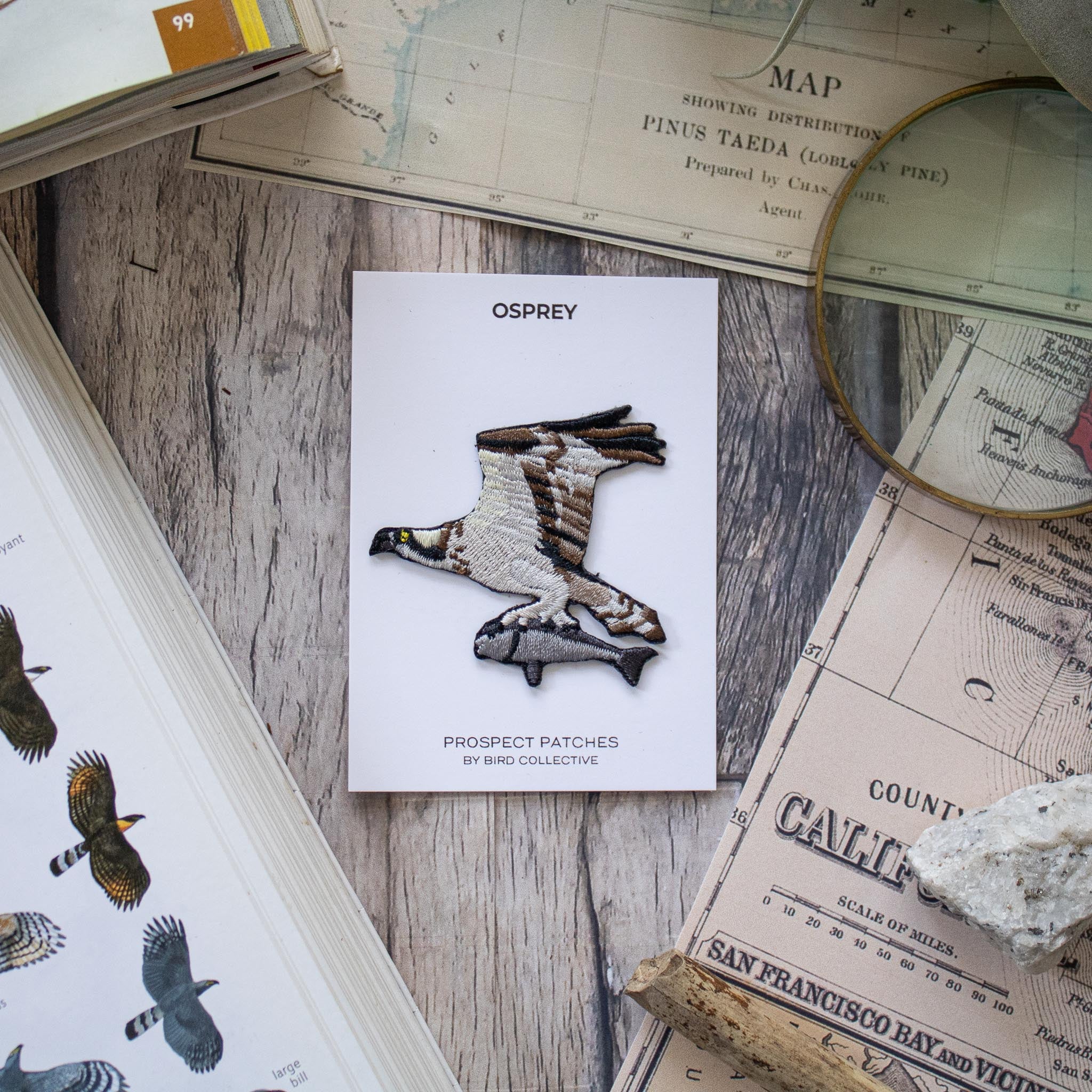 Osprey Patch - Image 4