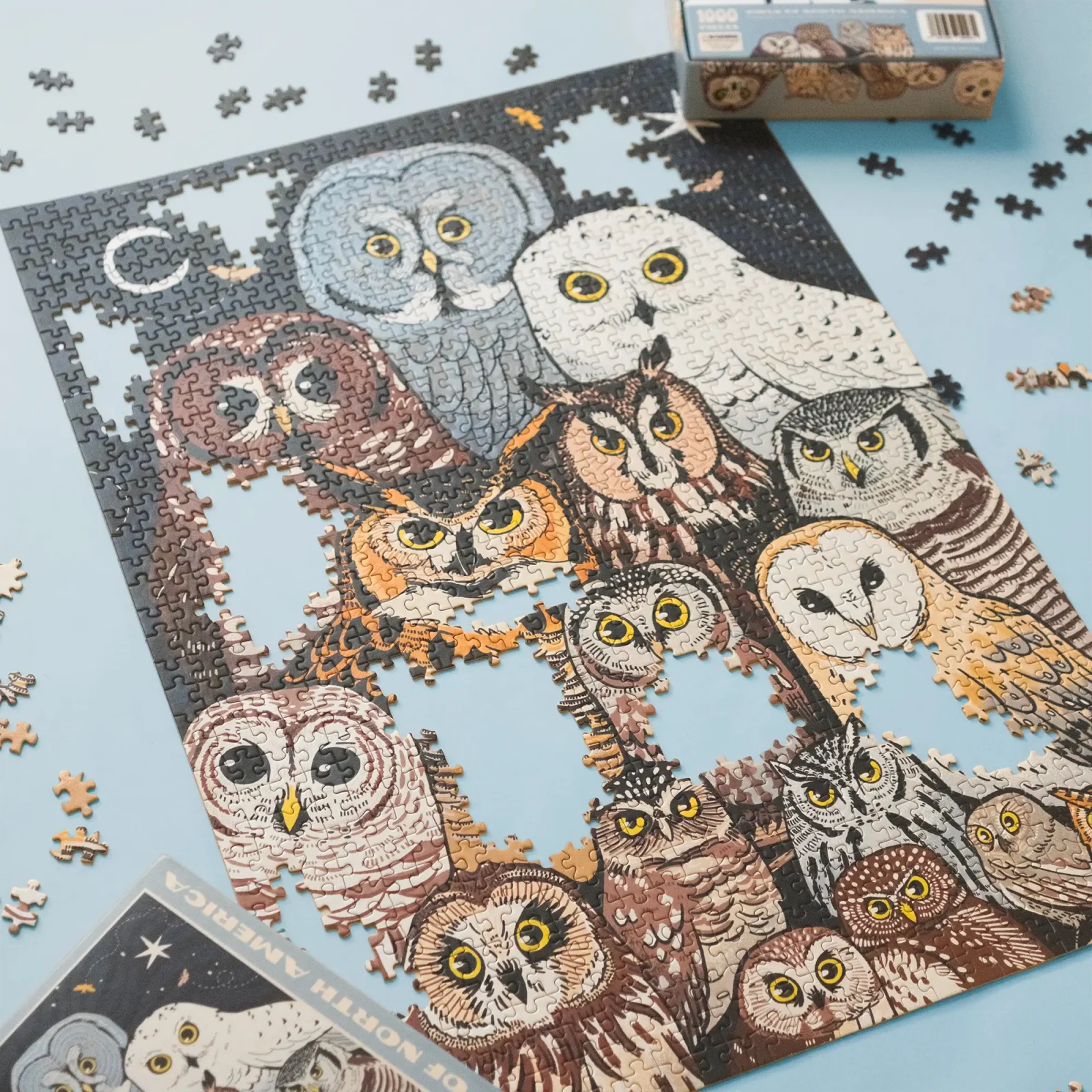 Owls of North America Puzzle - Image 3