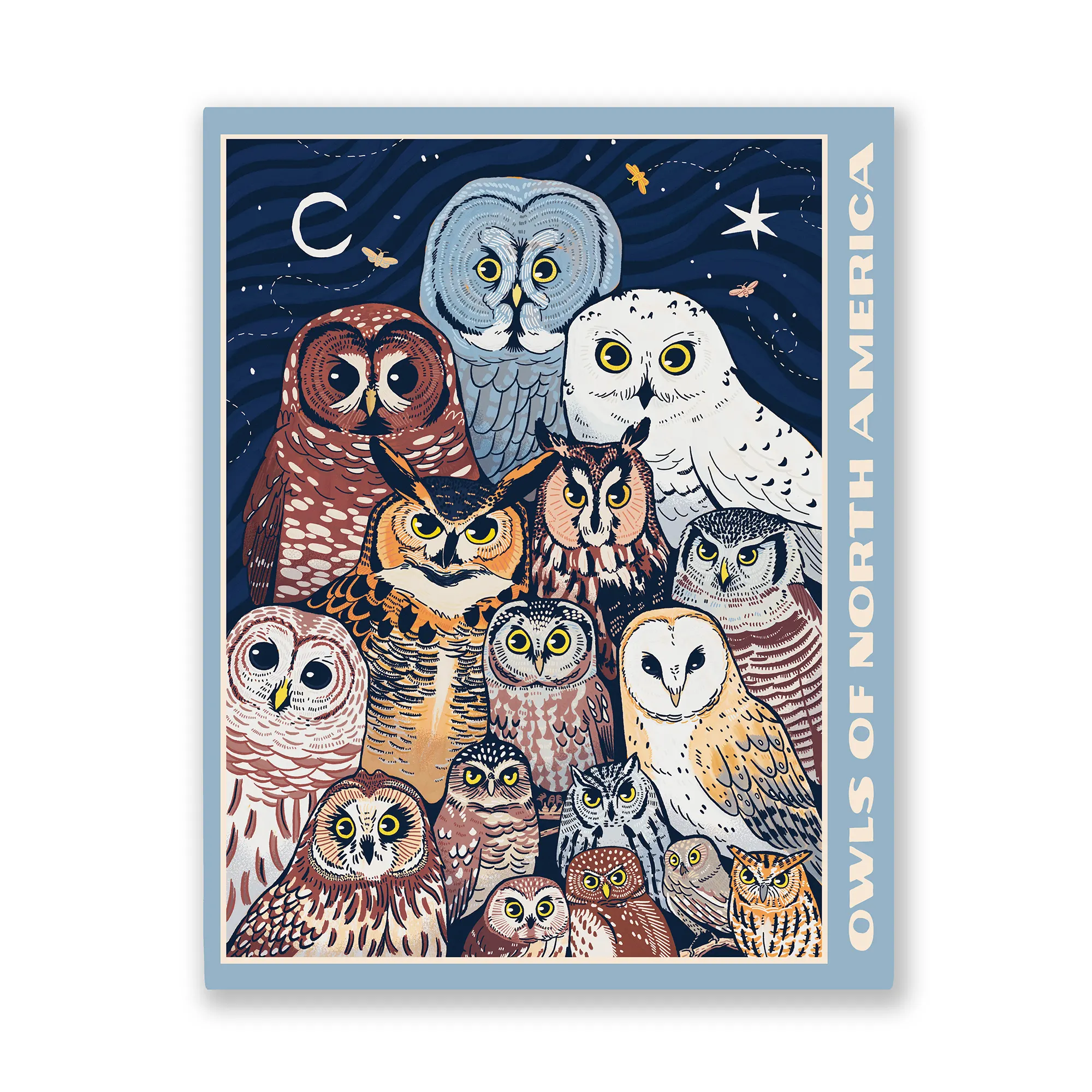 Owls of North America Puzzle - Image 4