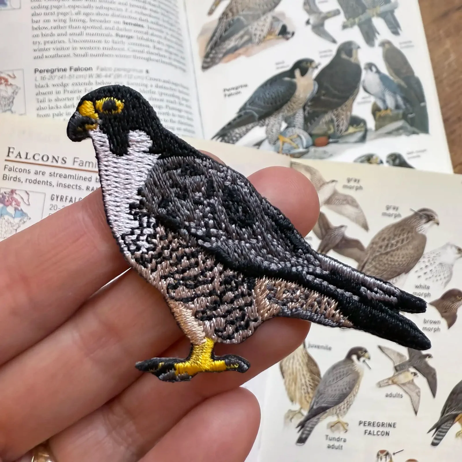 Peregrine Falcon Patch - Image 2
