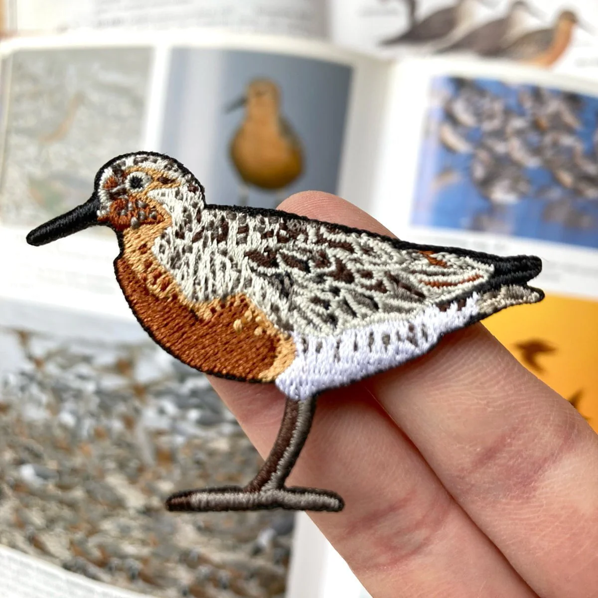 Red Knot Patch - Image 2