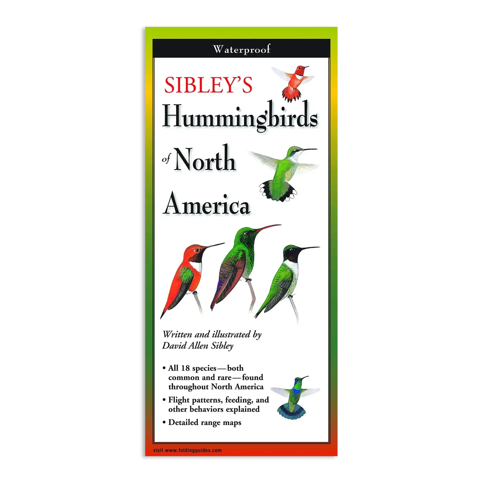 Sibley's Hummingbirds of North America