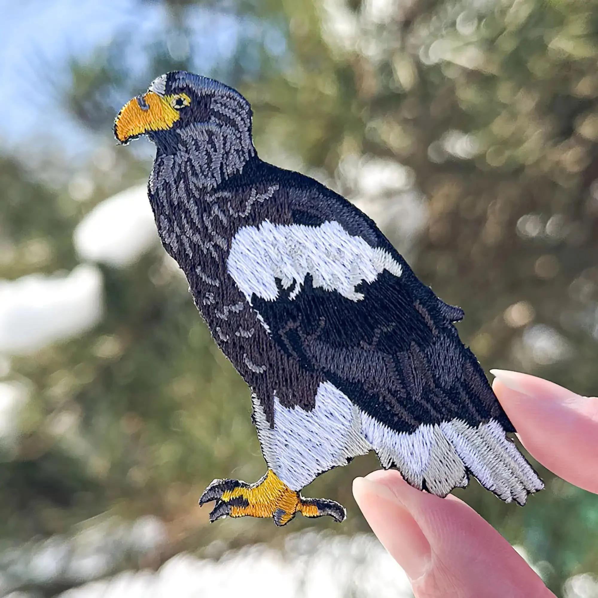 Steller's Sea Eagle Limited Edition Patch - Image 3
