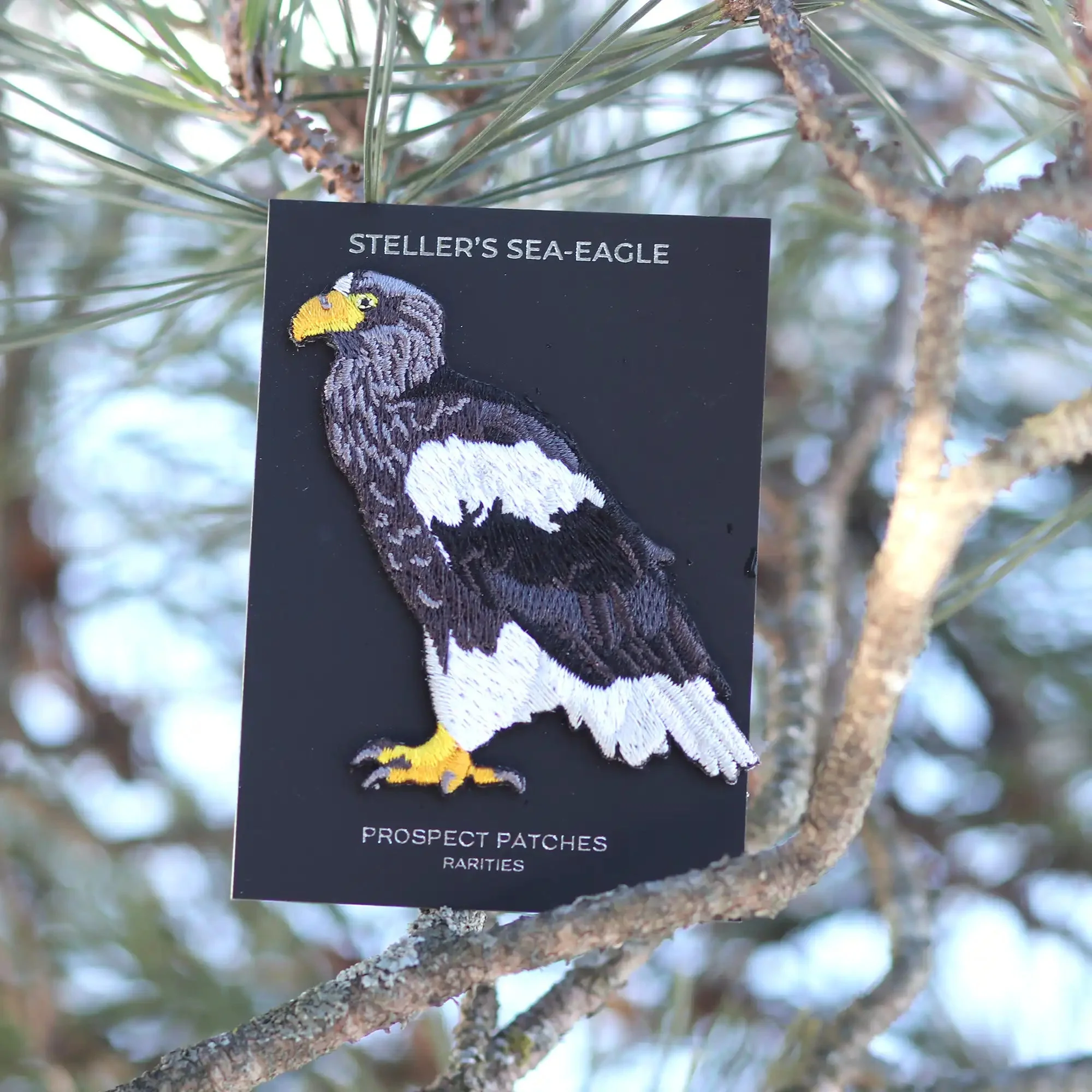 Steller's Sea Eagle Limited Edition Patch - Image 4