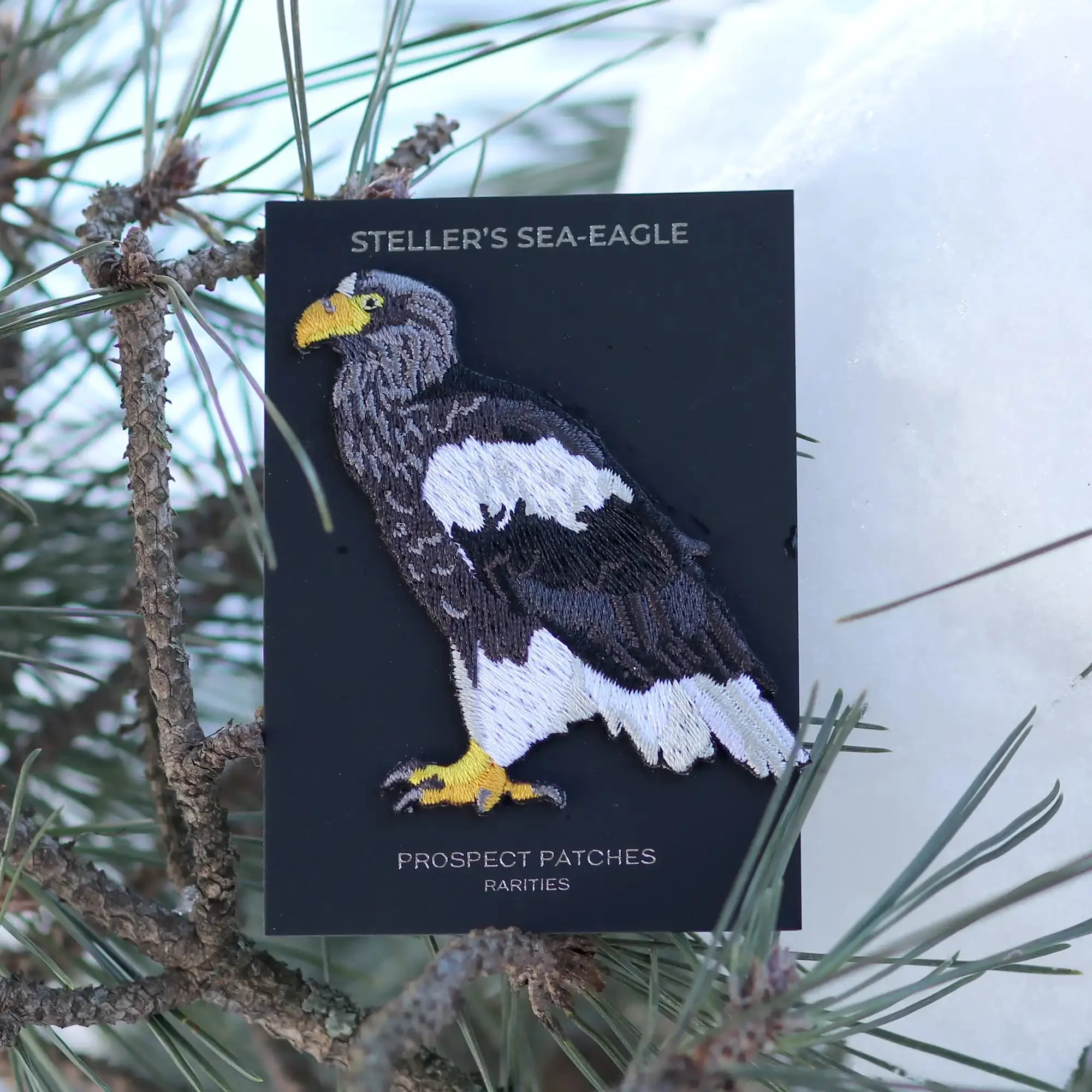 Steller's Sea Eagle Limited Edition Patch - Image 5