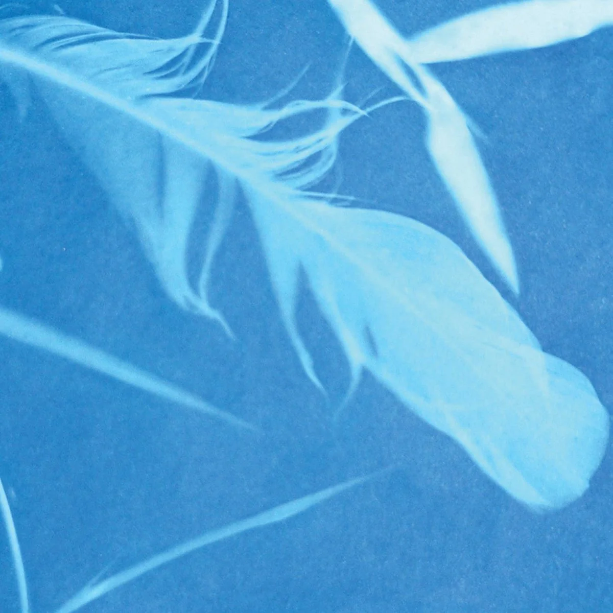 Sunprint Kit - Image 3