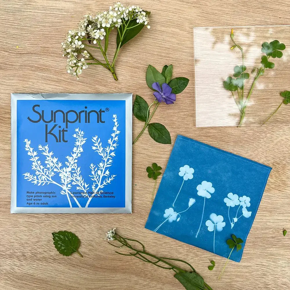 Sunprint Kit - Image 4