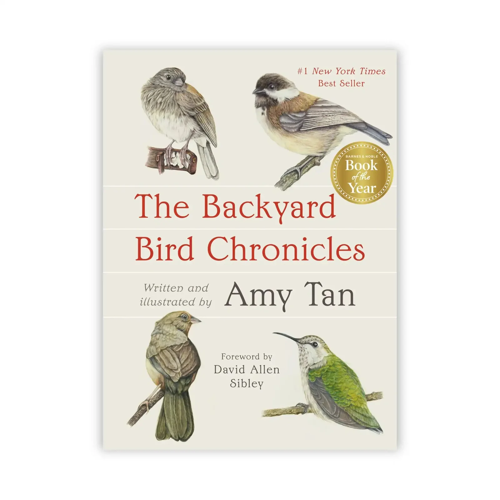 The Backyard Bird Chronicles