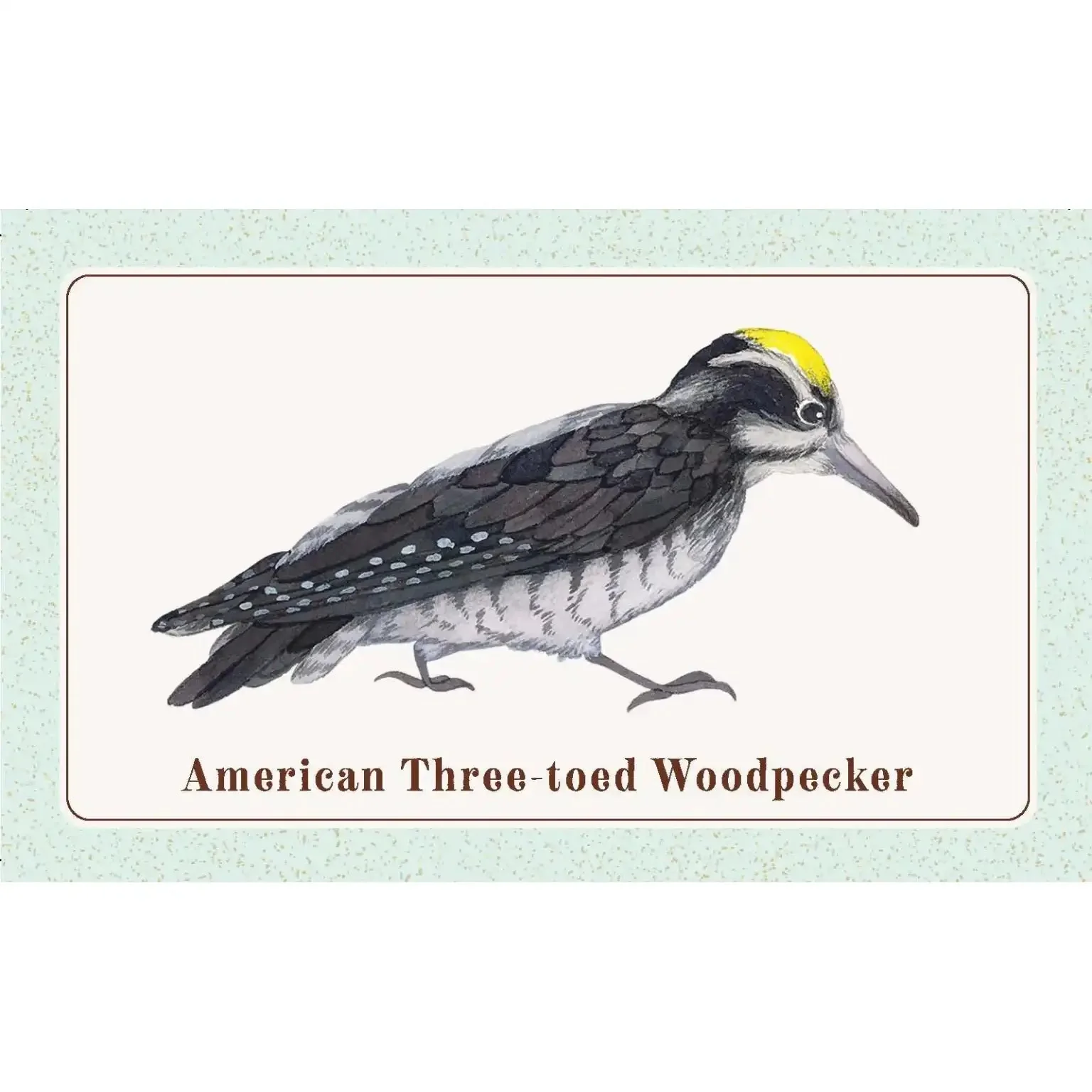 The Beginner Birder’s Deck - Image 4