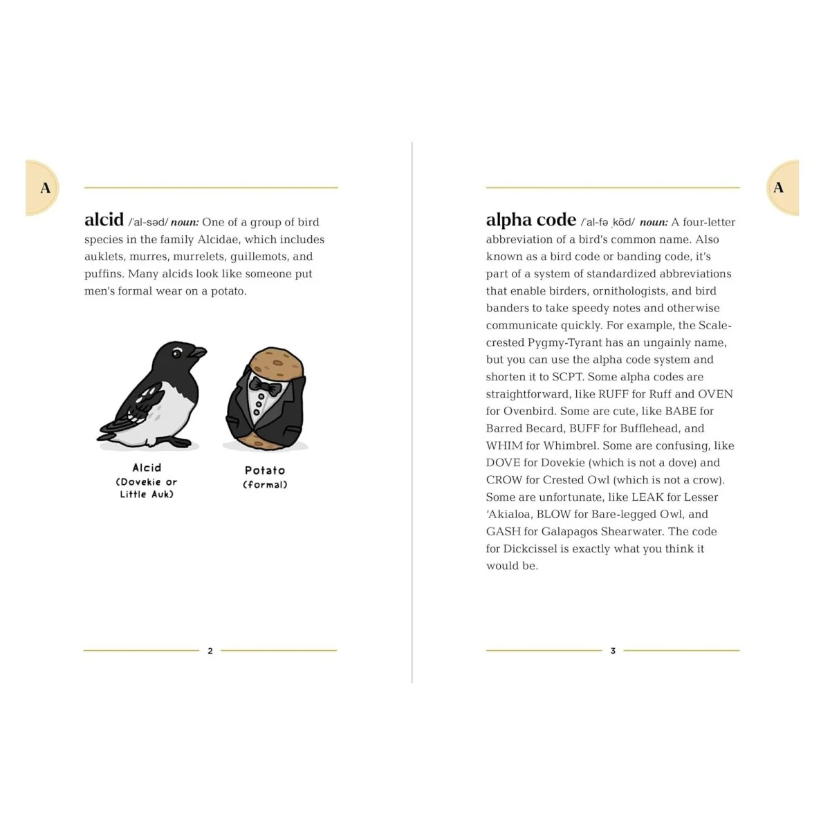 The Birding Dictionary - Image 4