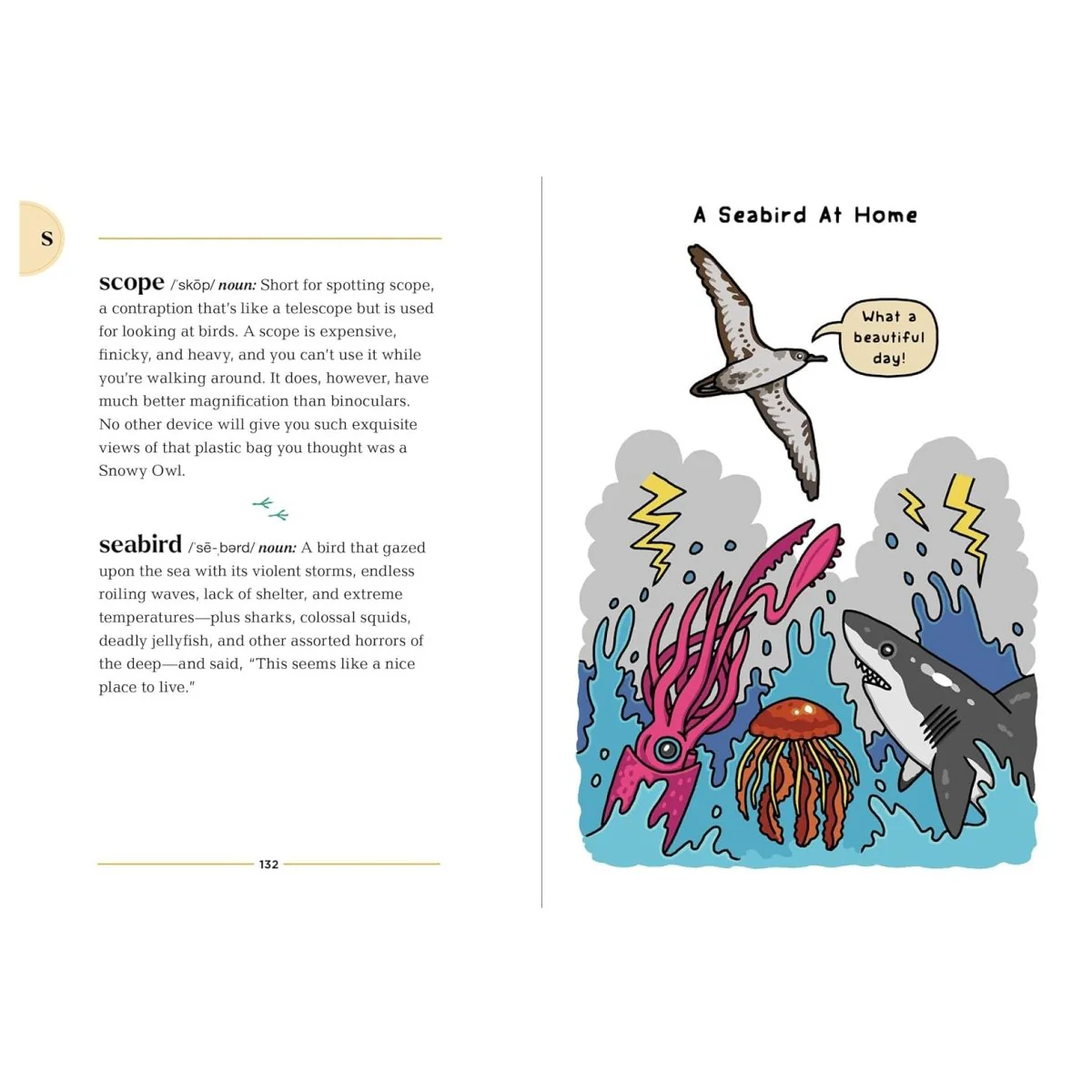 The Birding Dictionary - Image 7