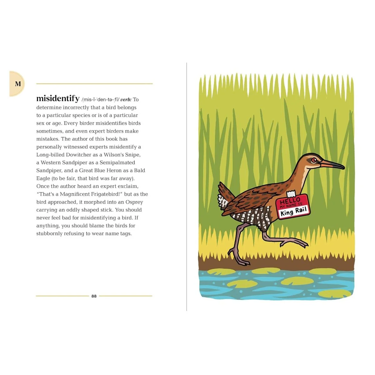 The Birding Dictionary - Image 9