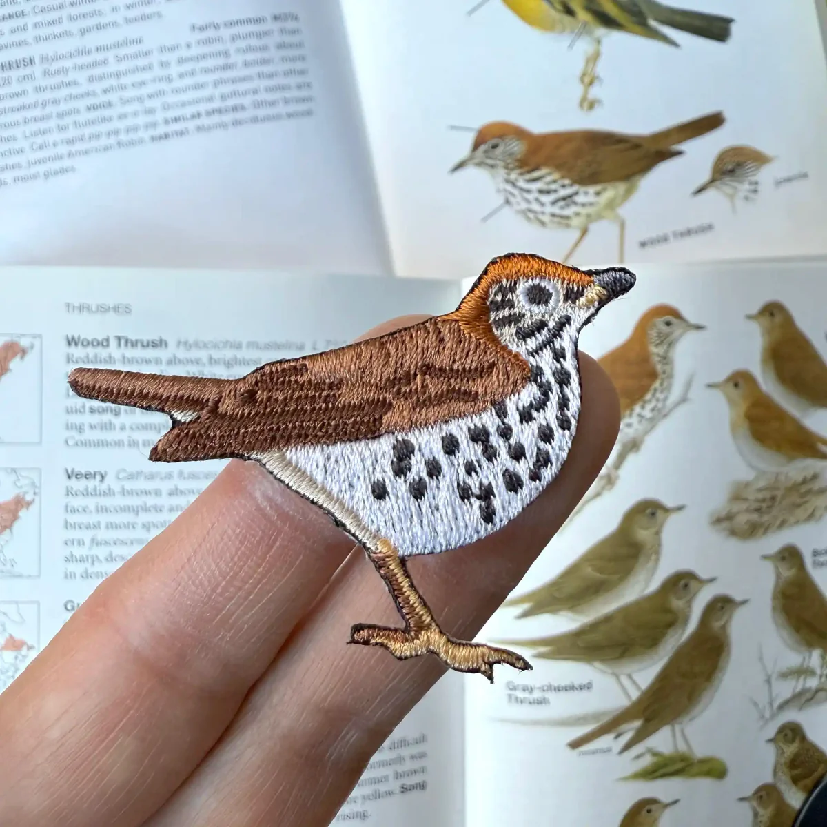 Wood Thrush Patch - Image 2
